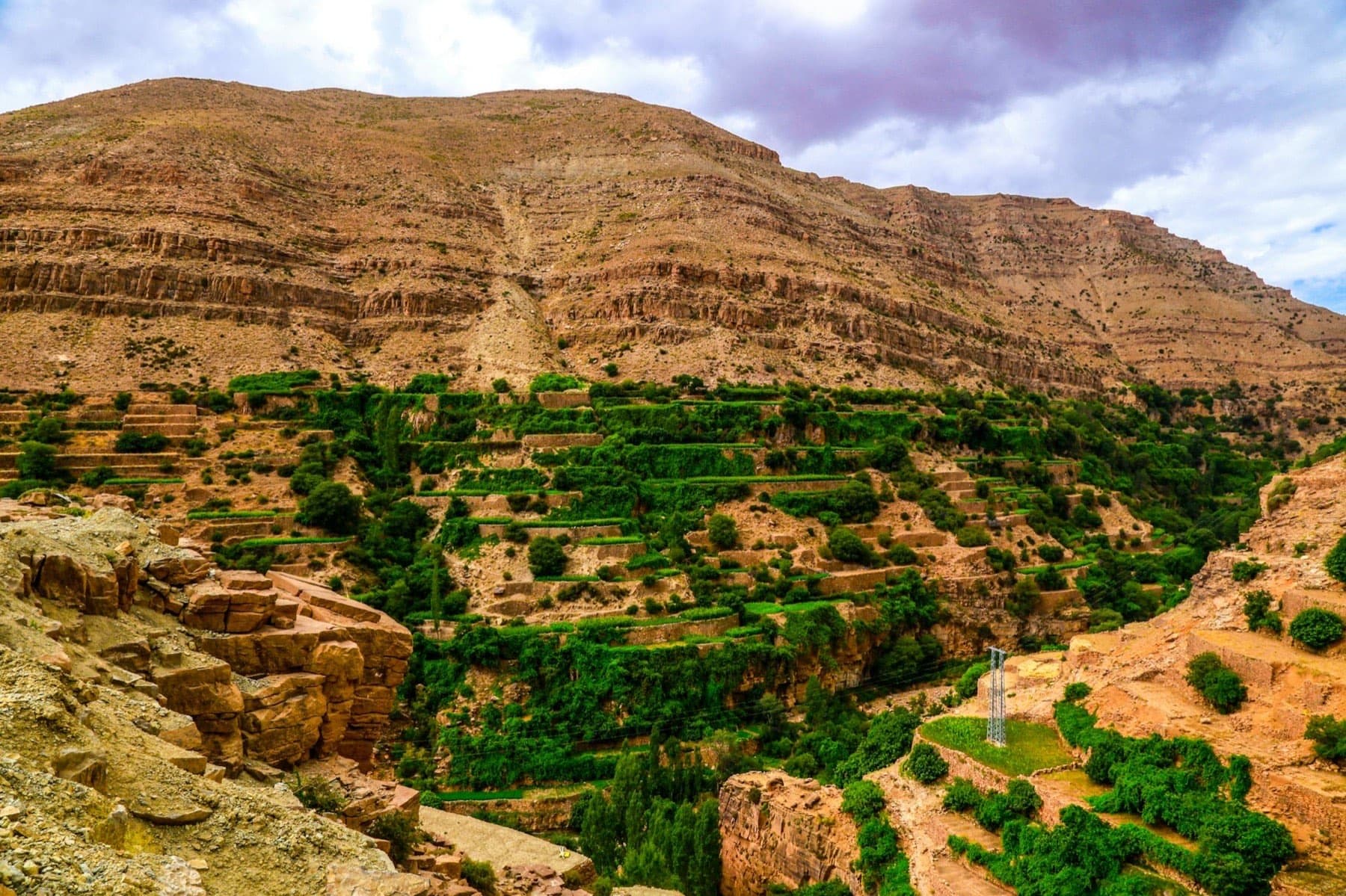 Kobieta Amazigh tłocząca ręcznie olej arganowy na tle gór Atlasu